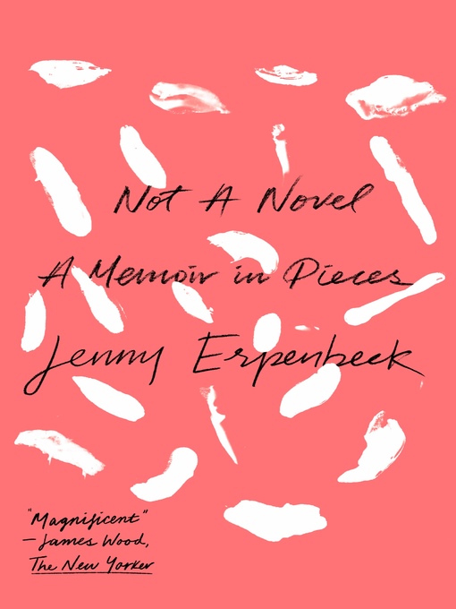Title details for Not a Novel by Jenny Erpenbeck - Wait list